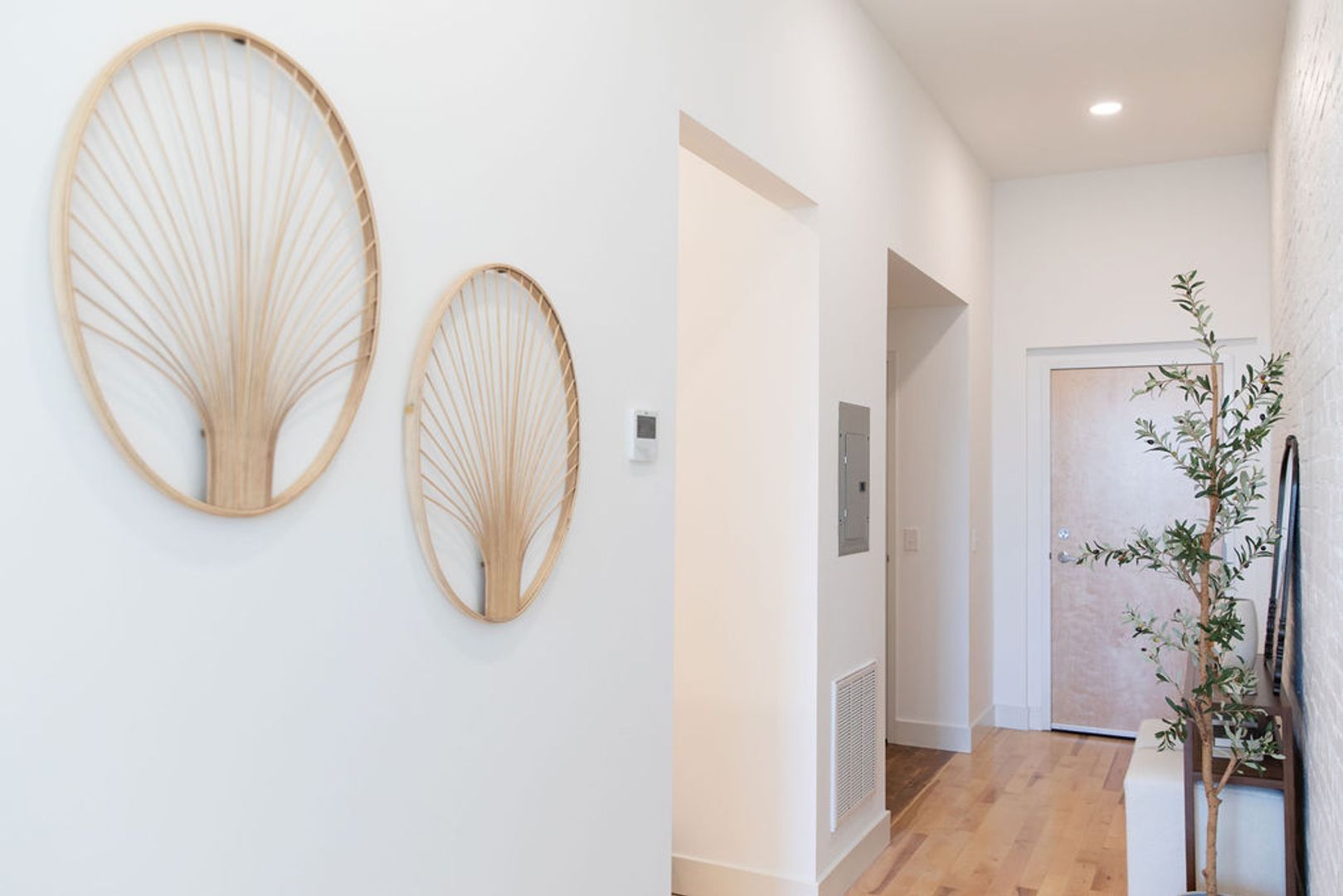 Providence Apartment: 49 Westfield Street