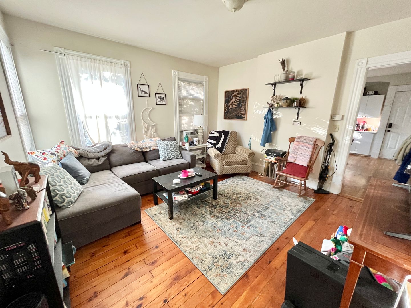 New Haven Apartment: 81 Edwards St