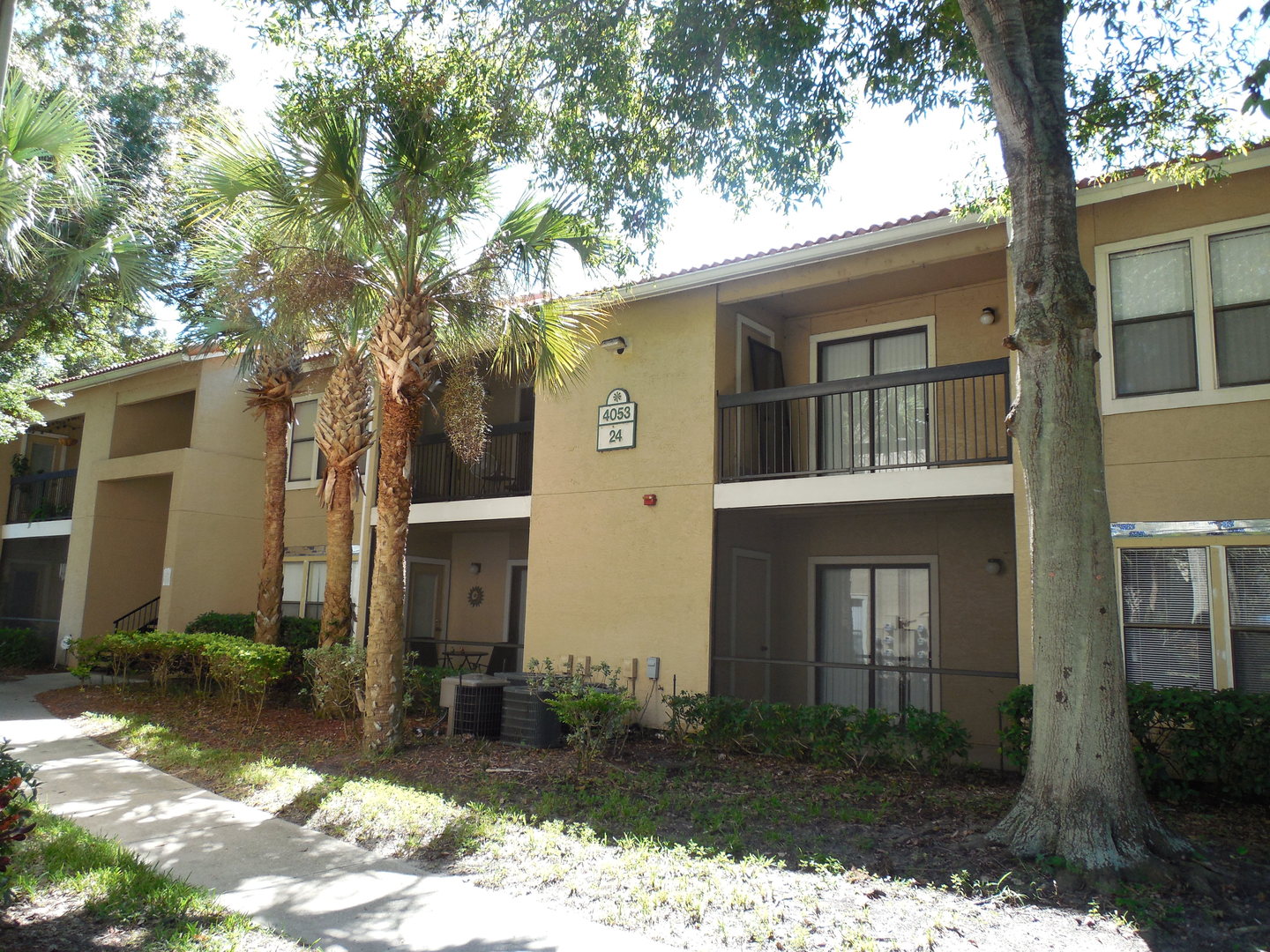 Sarasota Apartment: 4053 Crockers Lake Blvd #2421
