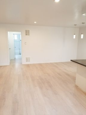 UPDATED 2 Bedroom + 2 Bath + IN UNIT WASHER DRYER – photo 1