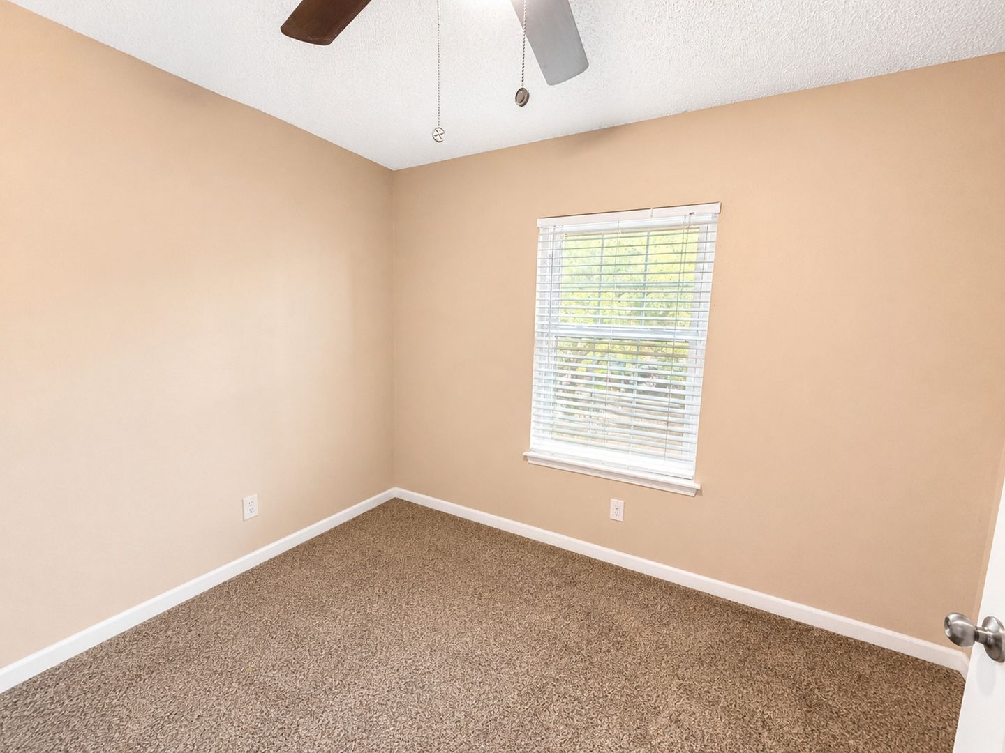 1435 Millstream Ln, Apt 204, Dunedin, FL 34698 11 of 12