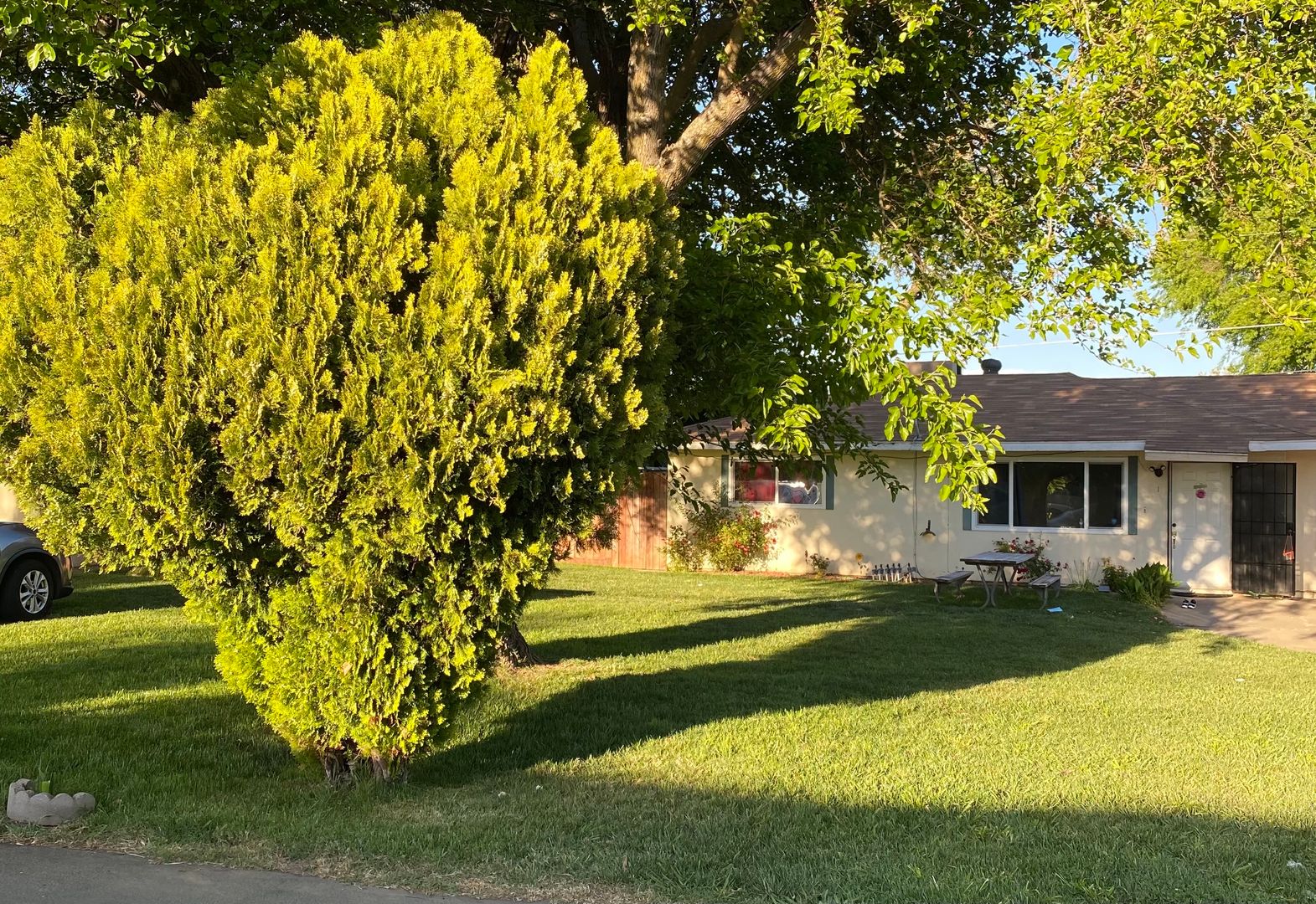 Sacramento Apartment: 6624 Lemon Hill Ave