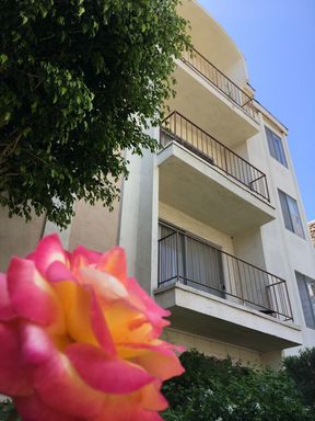 $2 / 1br - 750ft2 – Renovated 1st Floor 1 Bedroom 1 Bath in Beverly Grove – photo 1