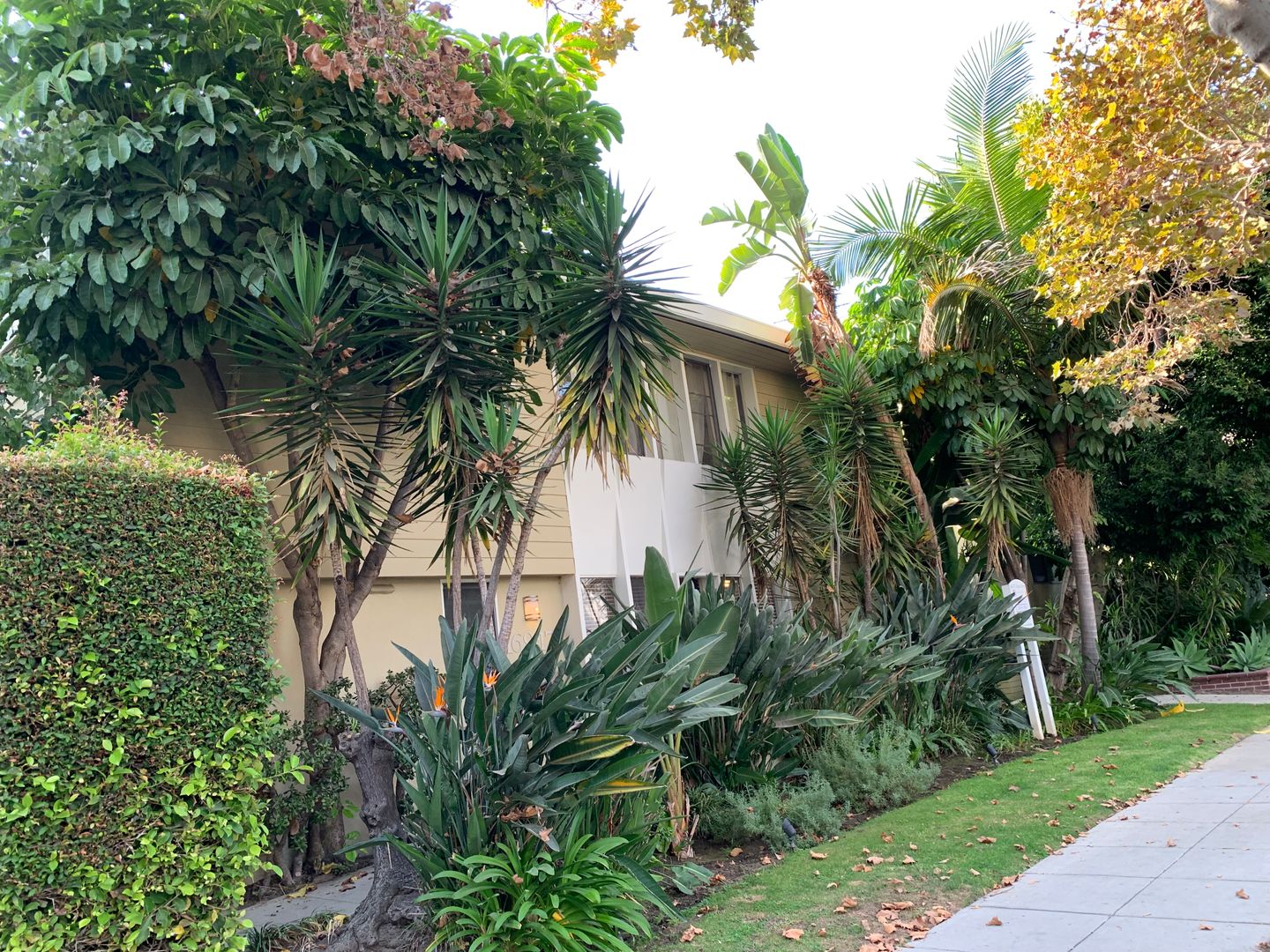 Beverly Hills Apartment: 169 N Almont Dr