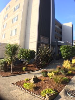 *CITY VIEWS* -2b/2b LargeCorner & Bright Apartment in the University District - AVAIL 9/12/23 - University District, Ravenna, Roosevelt, NE Seattle – photo 1