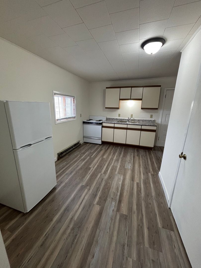 Elroy Apartment: 205 Nassau Street