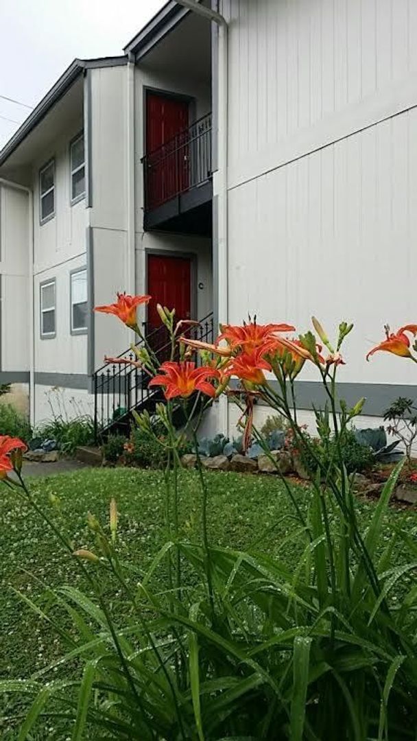 Birmingham Apartment: 16th Ave S, 1171