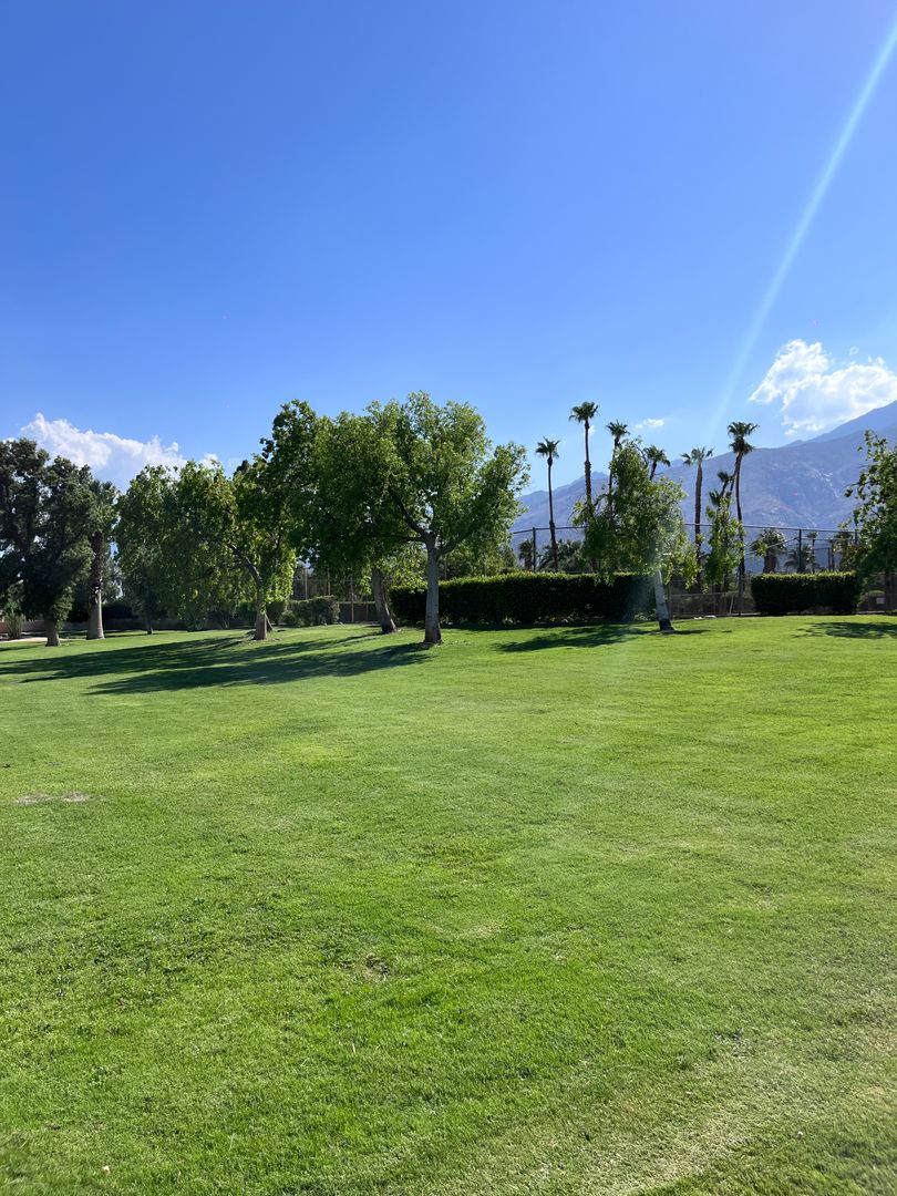 N Palm Springs House: 1426 Sunflower Cir.