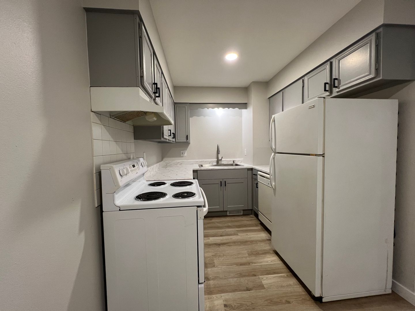 Fort Collins Apartment: 1642 Larch Street