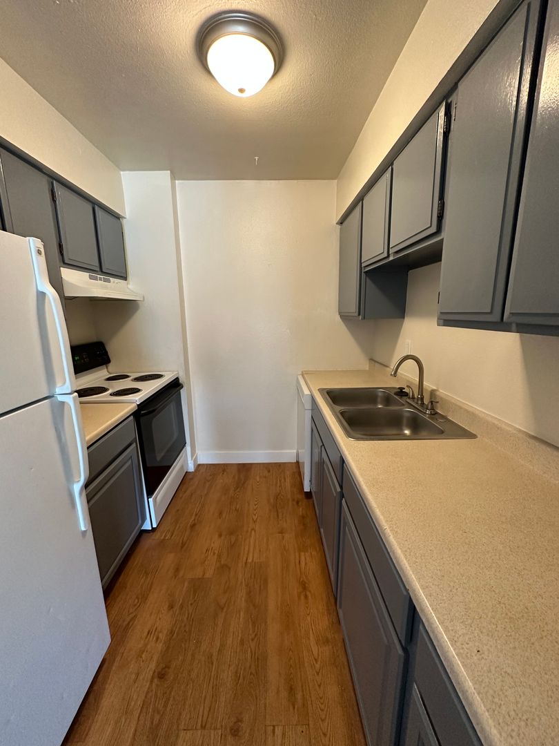 Fort Collins Apartment: 636 N Shields