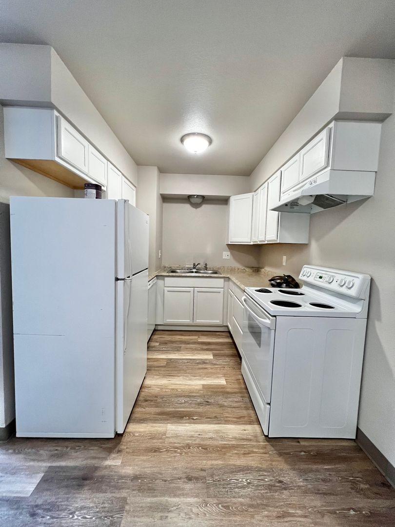 Fort Collins Apartment: 1642 Larch Street