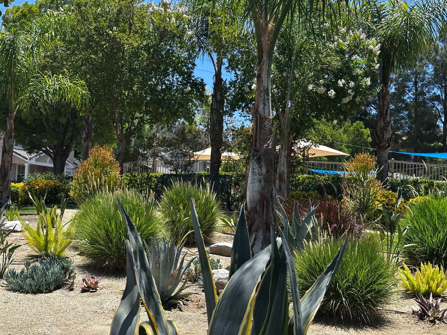 Santa Clarita Apartment: 28433 Mayfair Drive