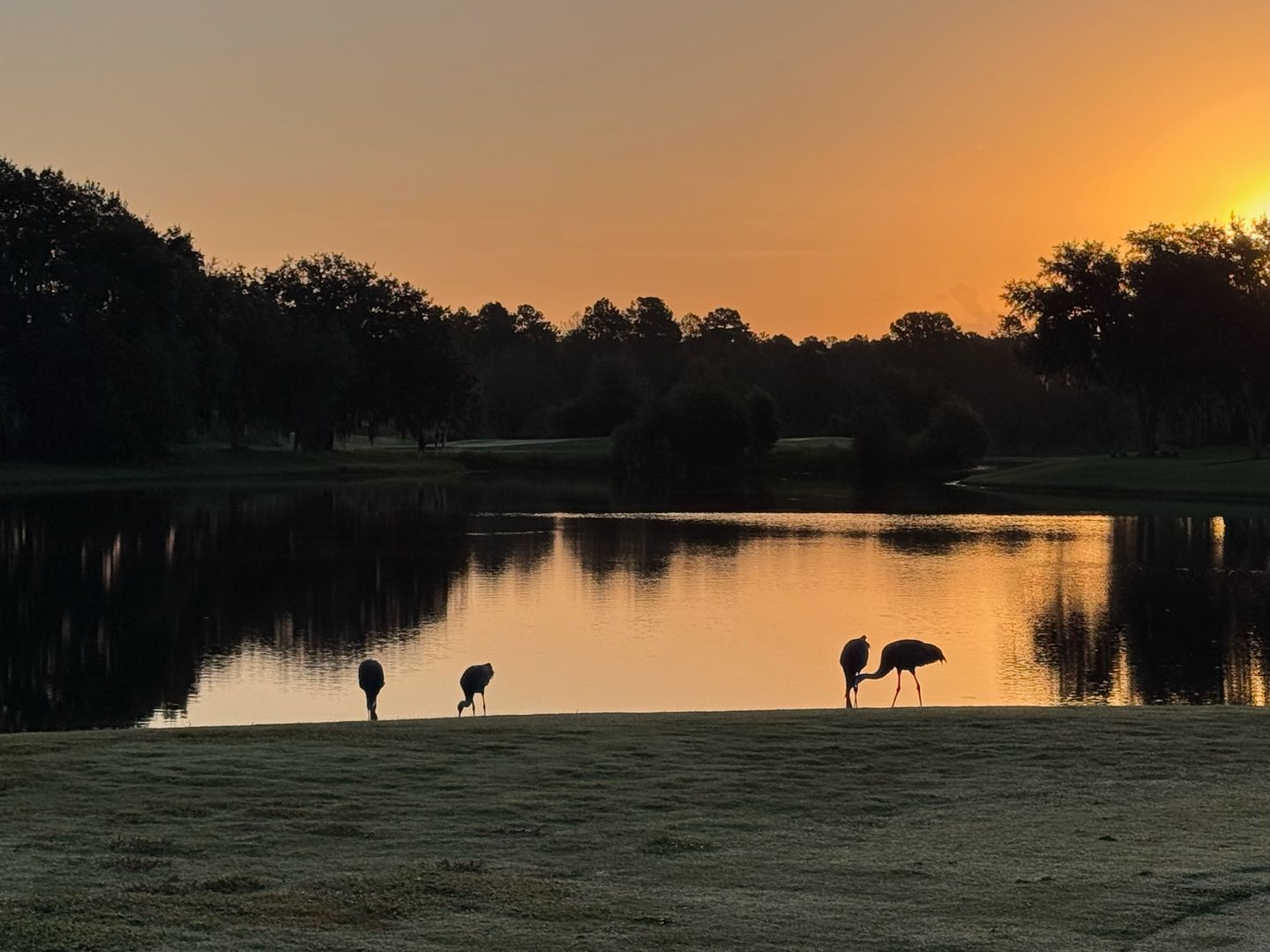 Ocala House: 341 Lake Dr