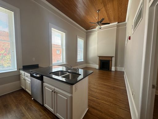 Stunning Two Bedroom Apartment in the Heart of Downtown Macon – photo 1