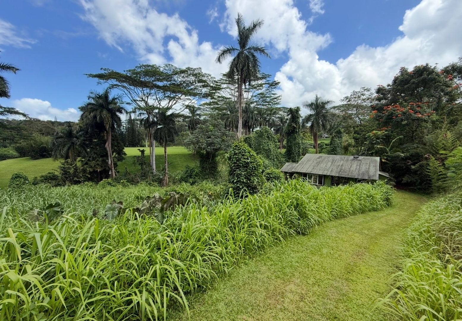 kiluea House: 4641-f kuawa rd