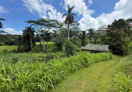 Remote riverside Kilauea cottage.