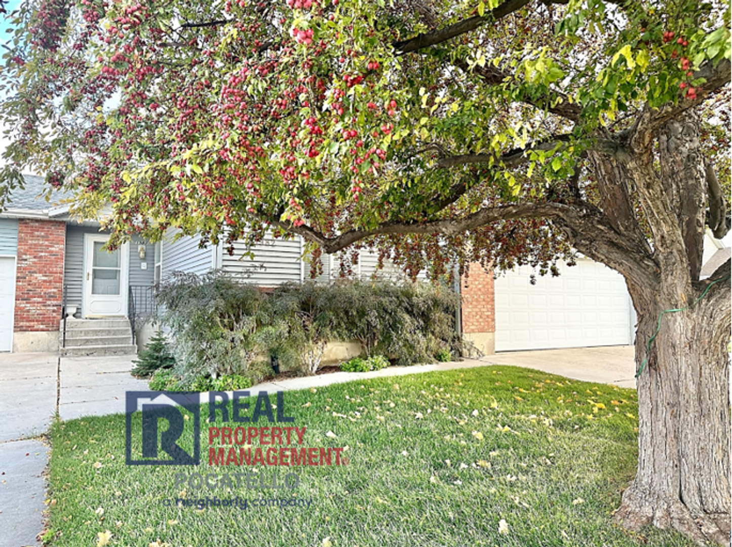 Pocatello House: 1982 Shetland