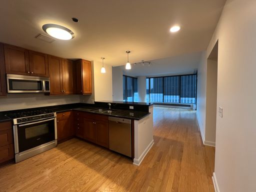 60 E Monroe St Unit 2604 Chicago, IL 60603-2768 – photo 1