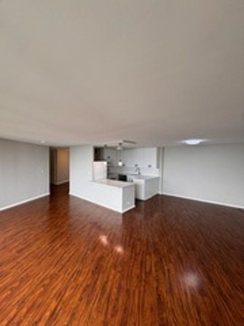 Chicago House: 505 N Lake Shore Dr. 1407-1408