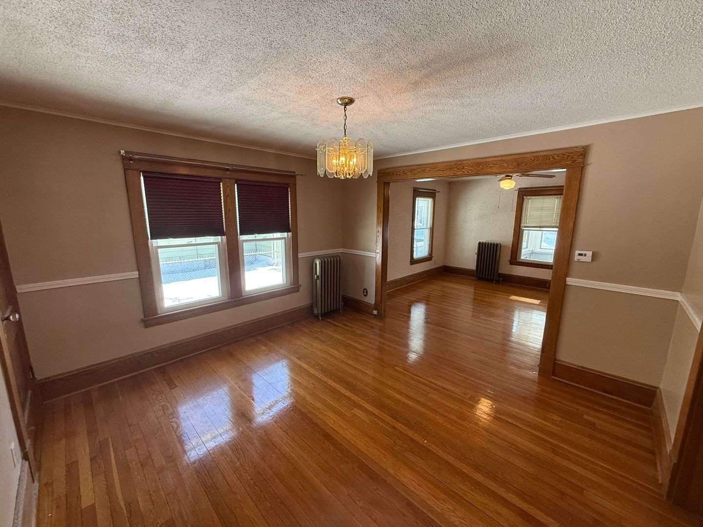 Springfield Apartment: 99-101 Mooreland St