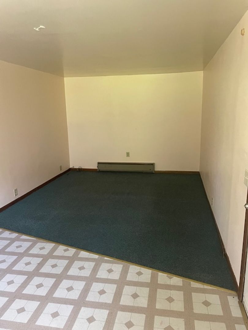 Brainerd Apartment: 916 South 6th St