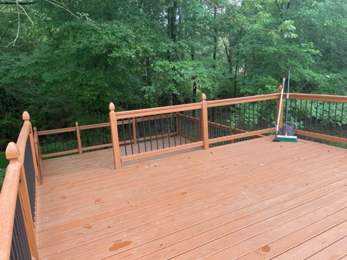 Fort Mill House: 772 Ivy Trail Way