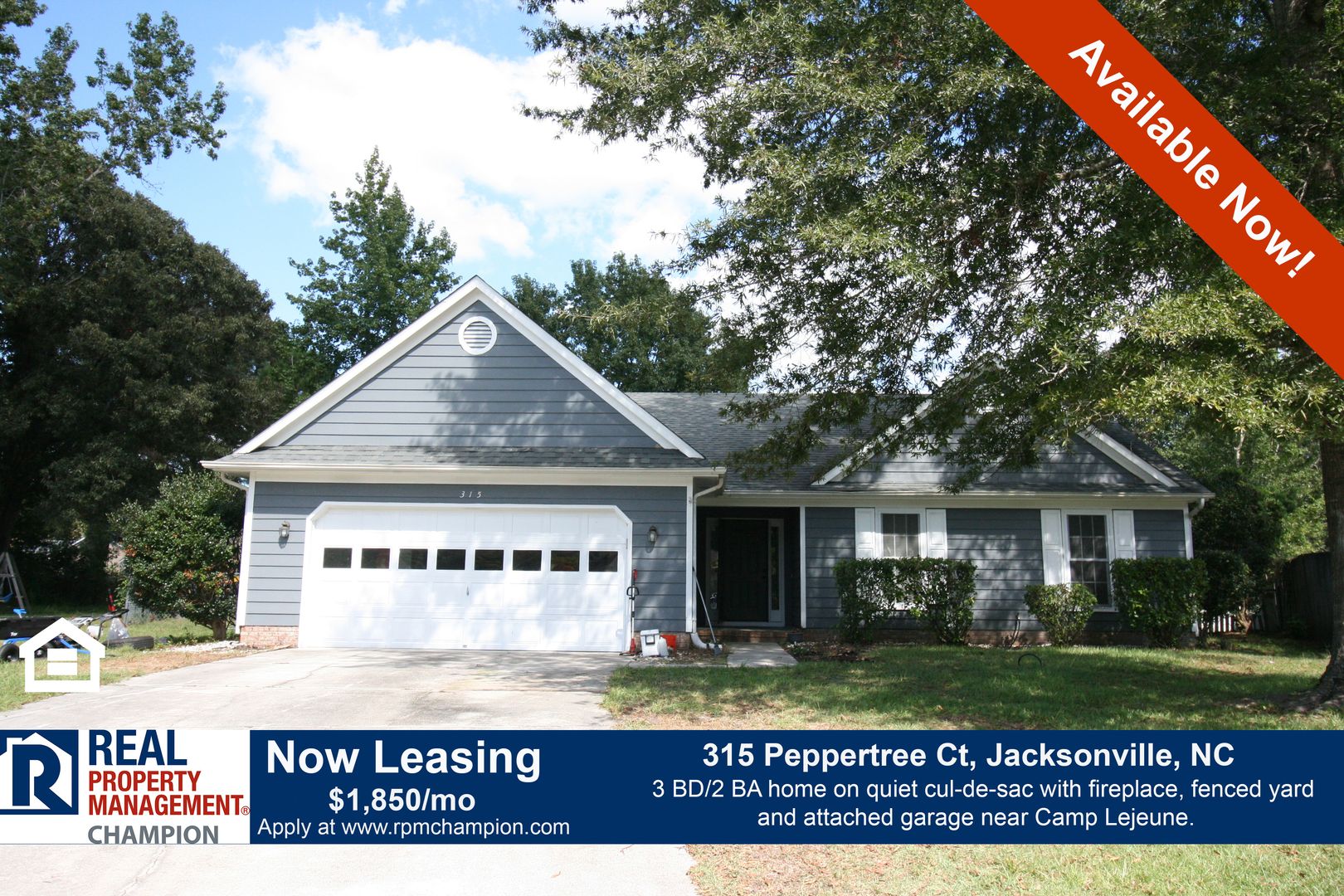 Jacksonville House: 315 Peppertree Ct