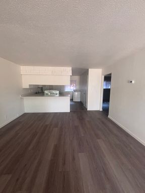 Newly updated 2 bed, 1 bath apt! New flooring, new paint, washer/dryer in unit! – photo 1