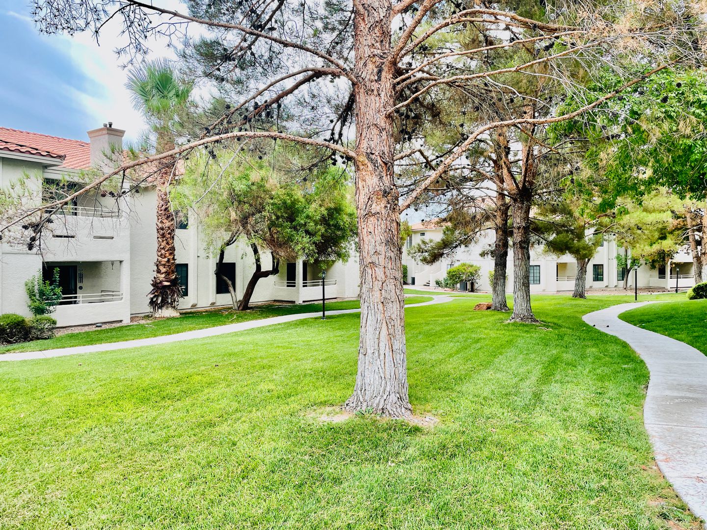 S Durango Drive unit 204 2 of 12