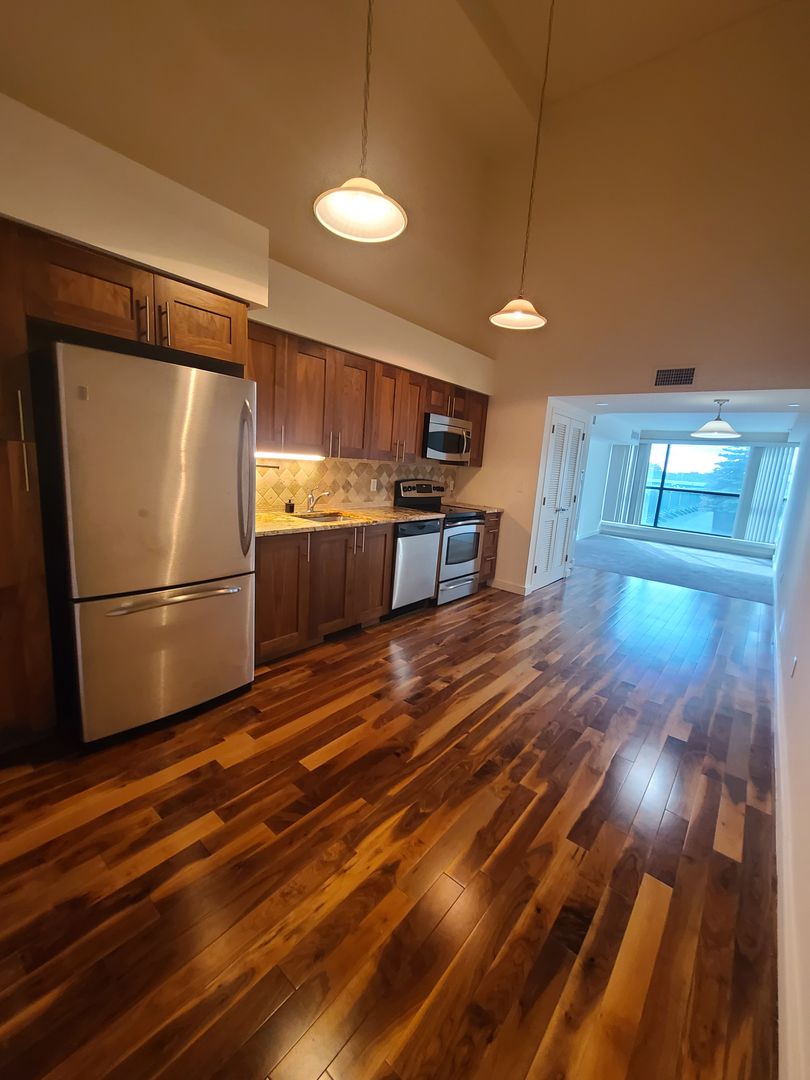 White Plains Apartment: 6 City Place
