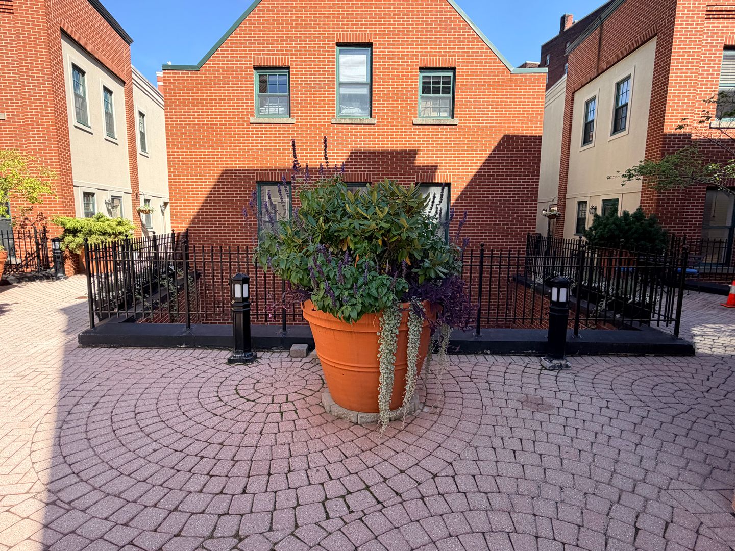 133 Walton Street Unit 130 5 of 12