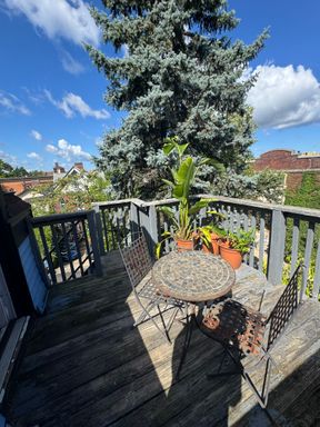 3 Bed/ 1 Bath in Heart of Shadyside! – photo 1