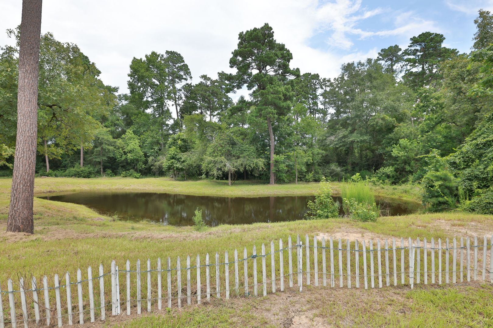 Ansley Rd 33940 4 of 12