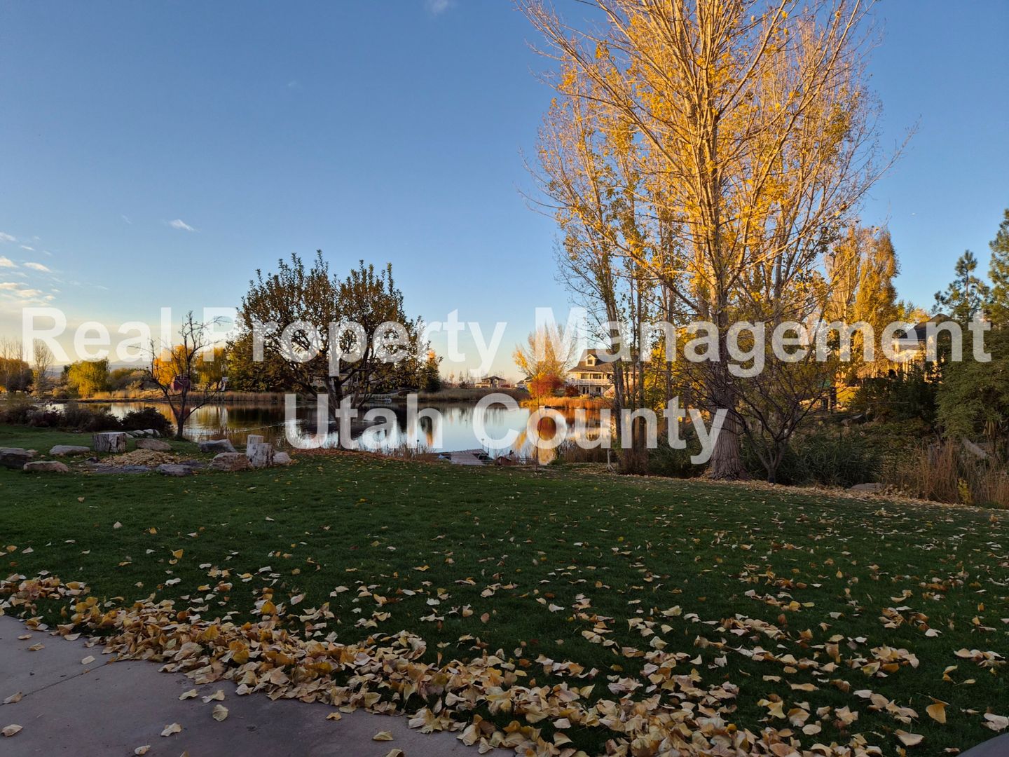 Pond view Basement Apartment