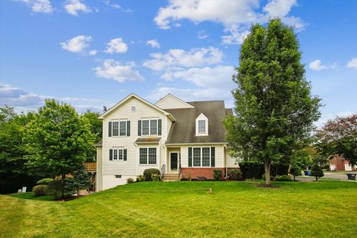 Resort-Style Living in Dominion Valley Country Club!