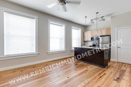 Bright and Spacious 1-Bedroom Apartment in Shockoe Bottom! Available Mid-September! – photo 1