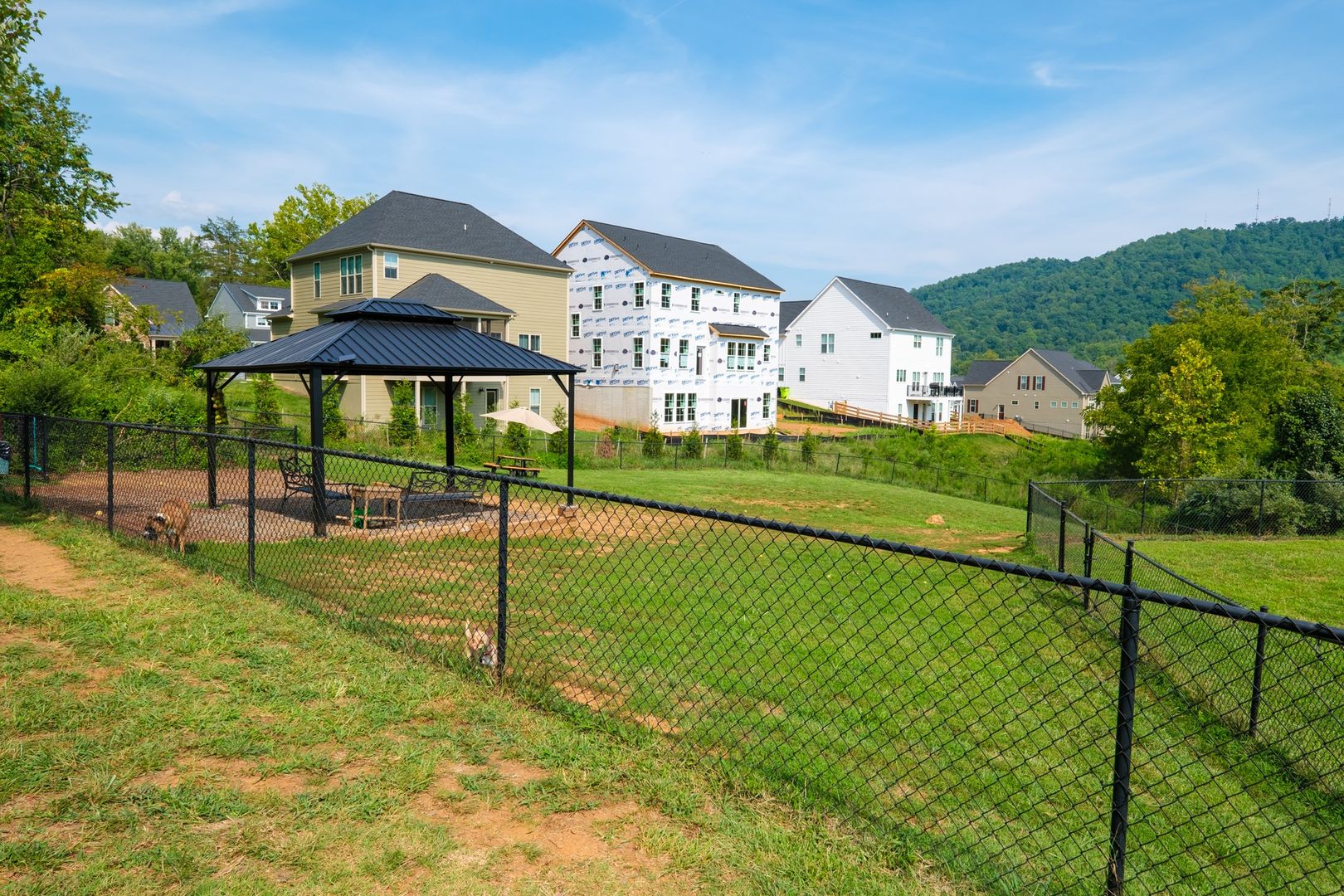 Dog park at Avinity Loop 2048
