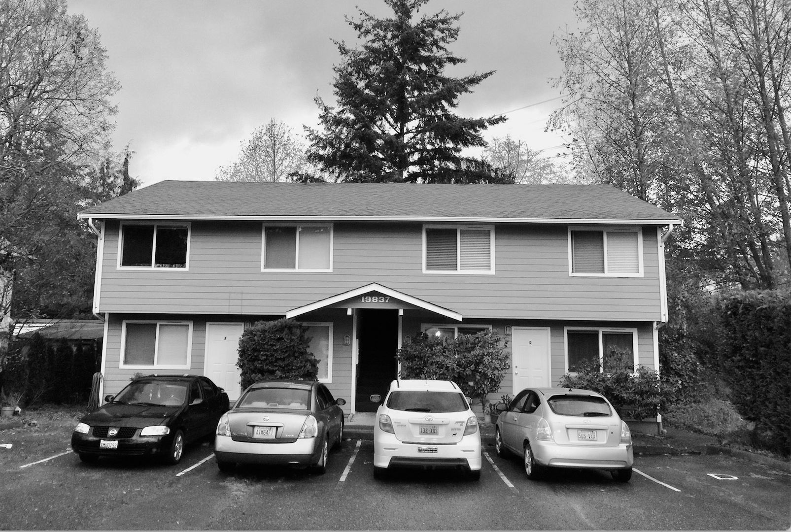 Shoreline Apartment: 19837 25th Ave NE