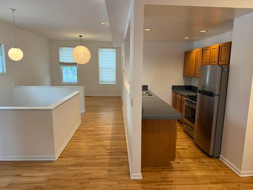 Beautiful 2-Bedroom Duplex in East Pilsen! – photo 1