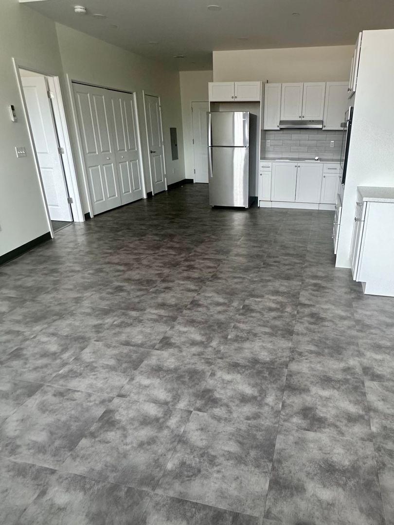 Springfield Apartment: 151 Chestnut St