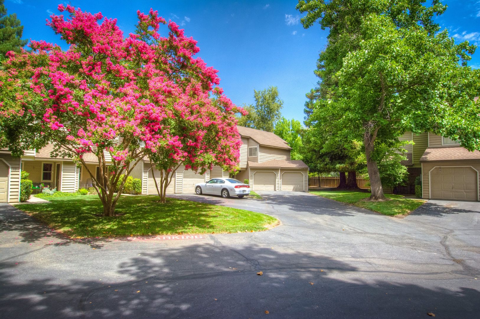 Chico Apartment: One Illahee Lane