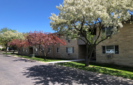 1 Bedroom 1 Bath Upper
