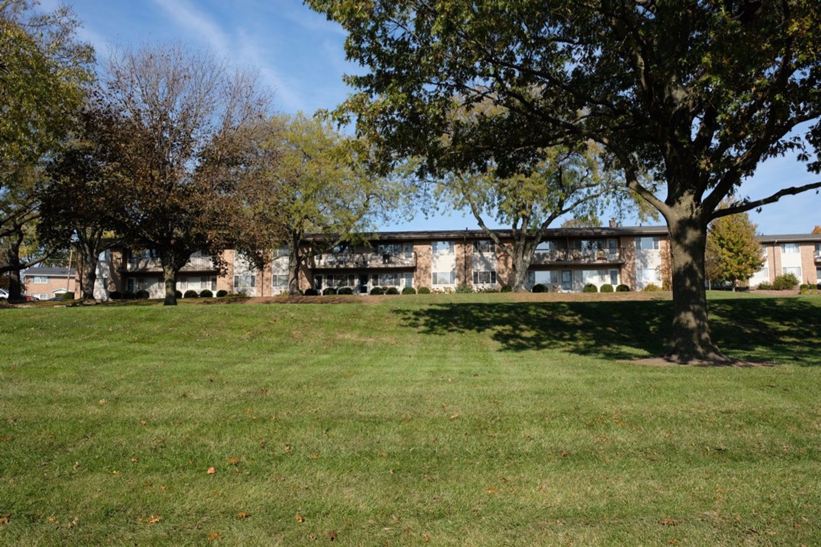 Bloomington Apartment: 703 Jersey Ave.