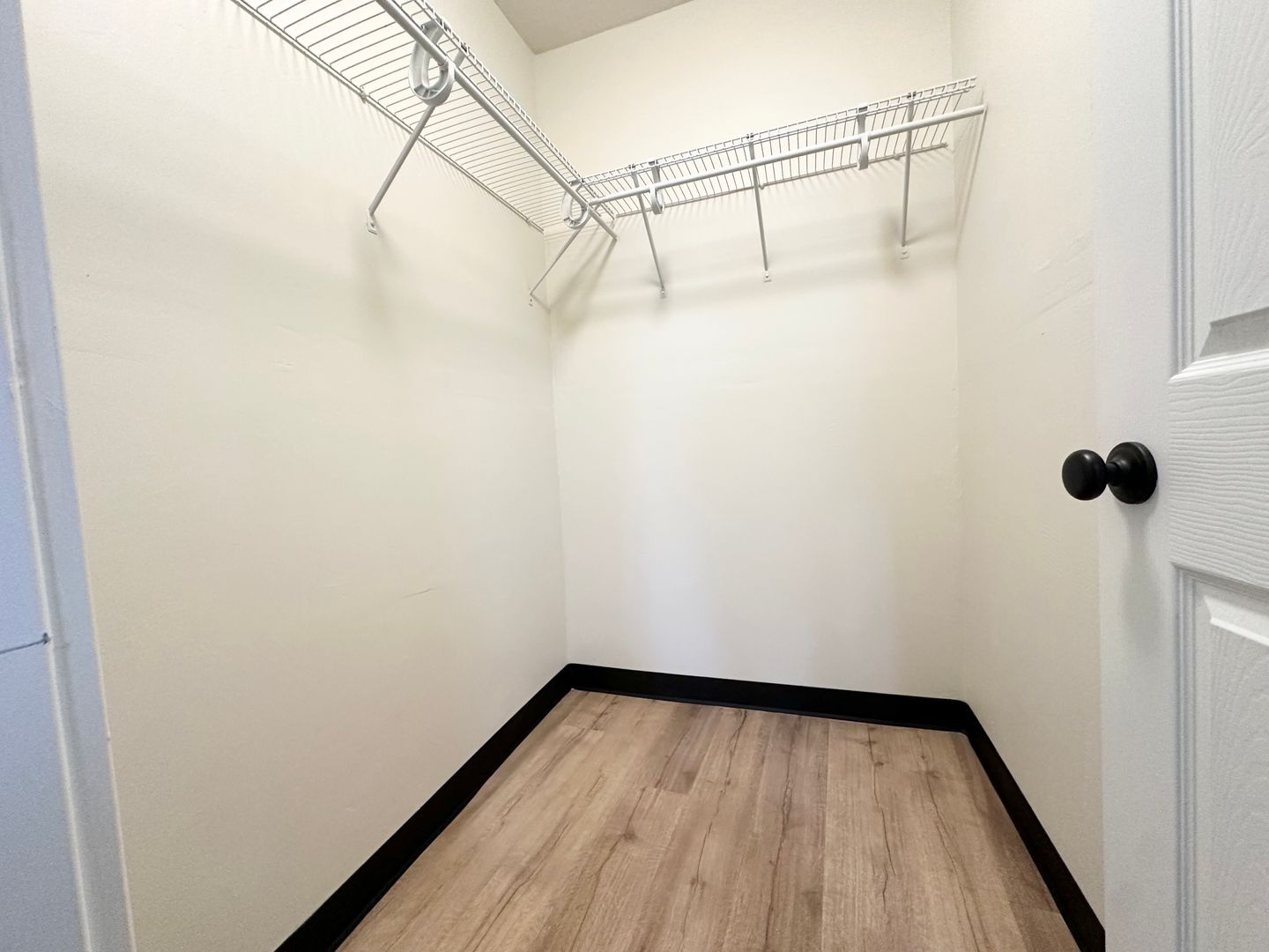 Green Bay Apartment: 113 S Monroe St