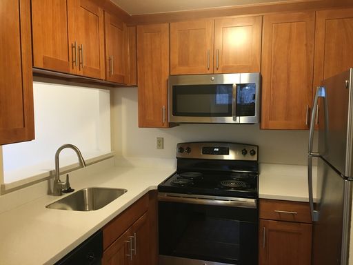 Bright 1-Bedroom in a Quiet Pinehurst Community — $1,650/Month – photo 1
