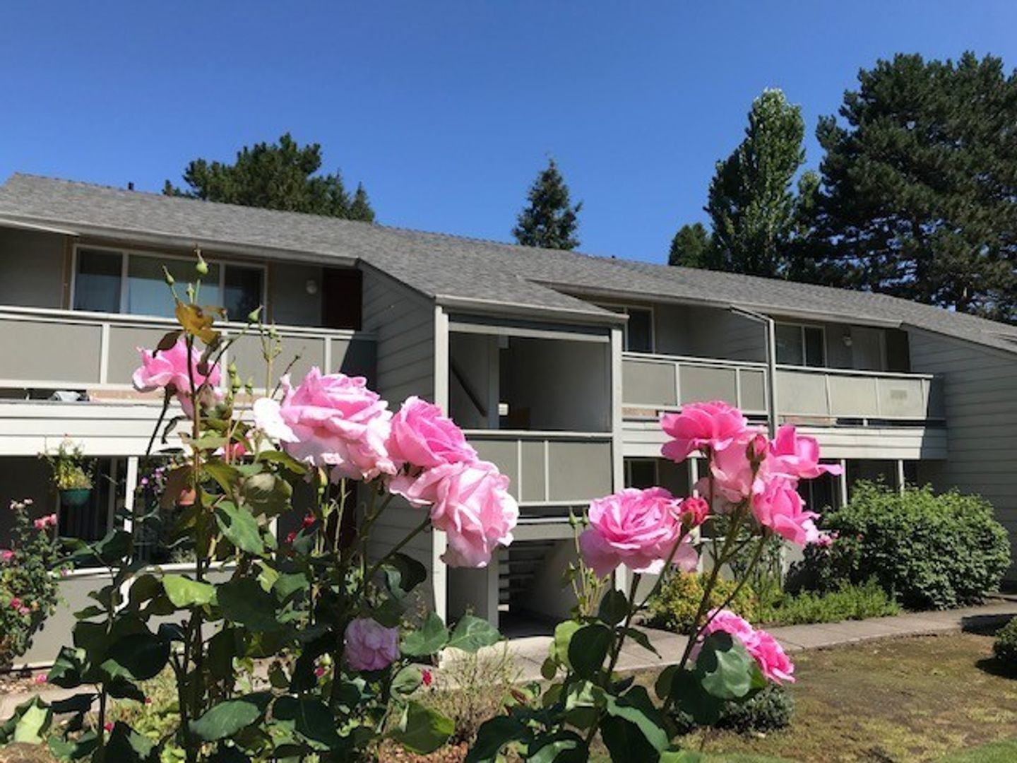 Beaverton Apartment: 13775 SW Larch Place