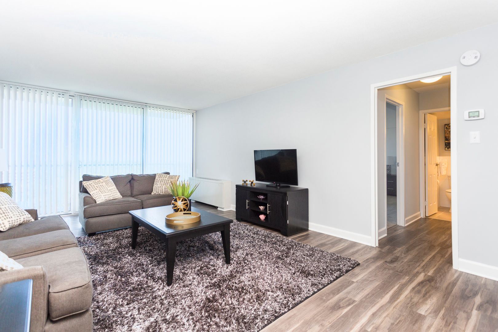 Silver Spring Apartment: 11225 Oak Leaf Drive