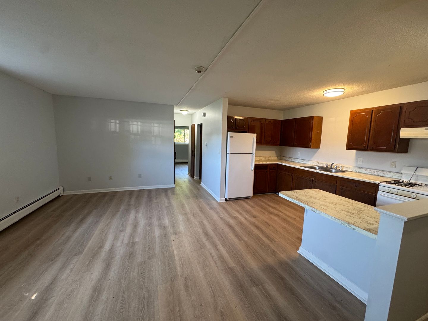 Springfield Apartment: 382-384 River St