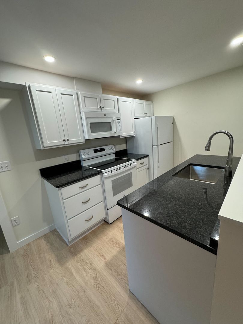 Springfield Apartment: 4 Chester Rd