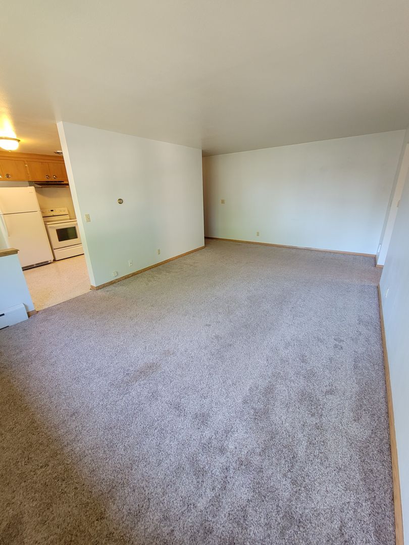Appleton Apartment: 319 E Harris St